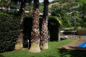 IMG_0097860-300x200