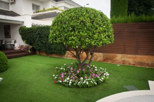 IMG_97468-300x200