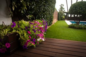 IMG_97569-300x200