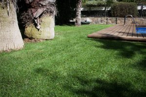 IMG_97767-300x200
