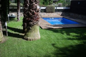 IMG_97769-300x200