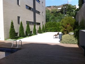 foto-004-300x224